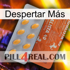 Despertar Más 43